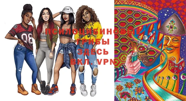 молекула духа Верея